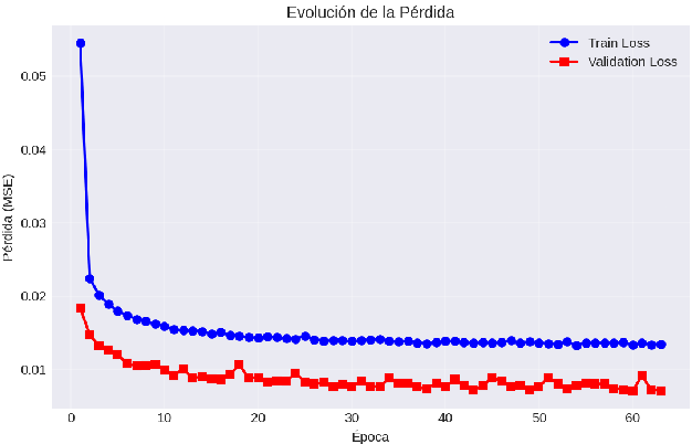Training and validation loss curves