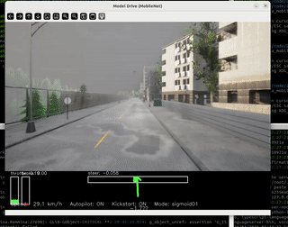 Ejecución del modelo entrenado (captura)