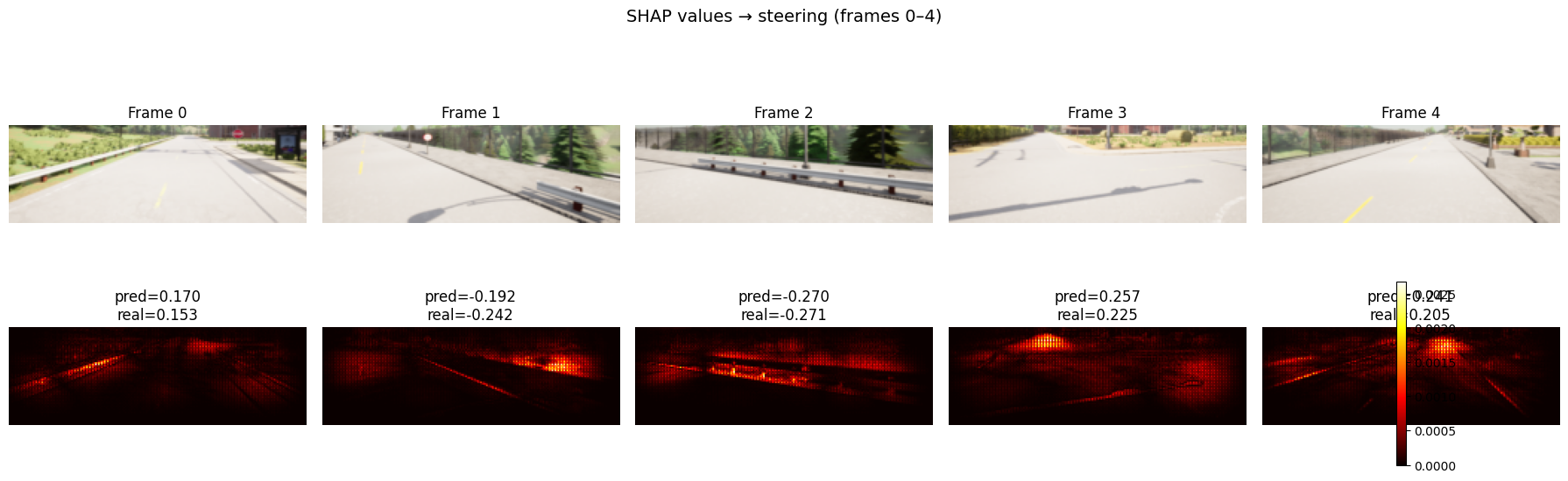 shap values